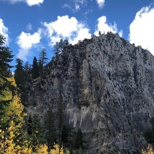 Meet your Posher, Chase